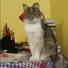 Отзыв от Лия Антипова